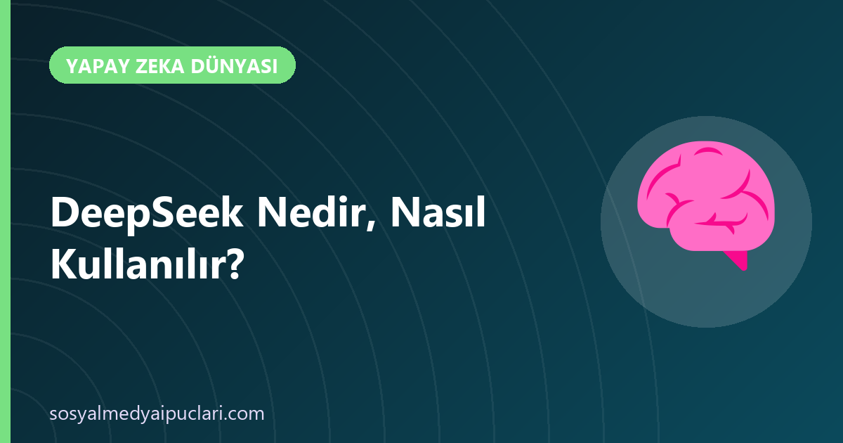 DeepSeek nedir