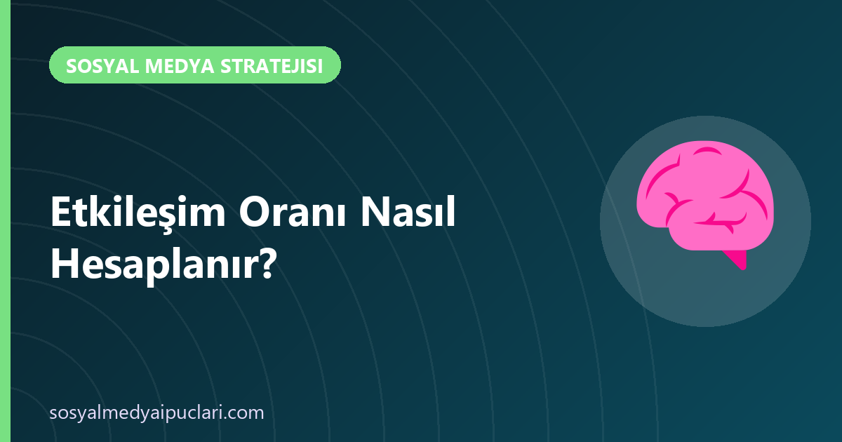 etkileşim oranı nasıl hesaplanır
