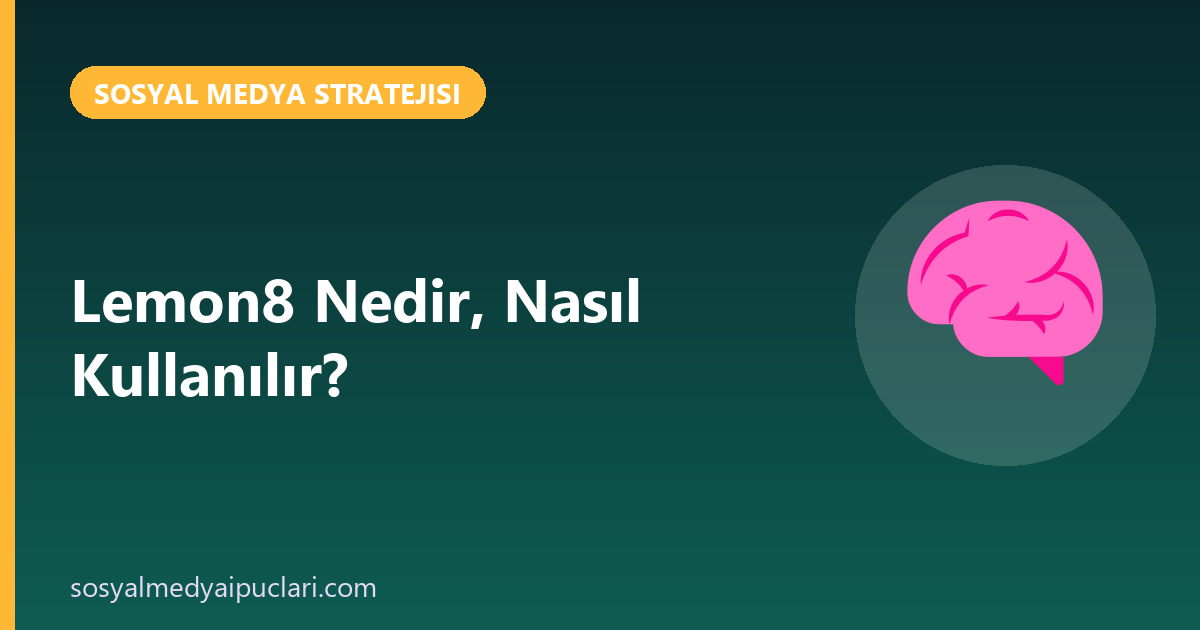 lemon8 nedir