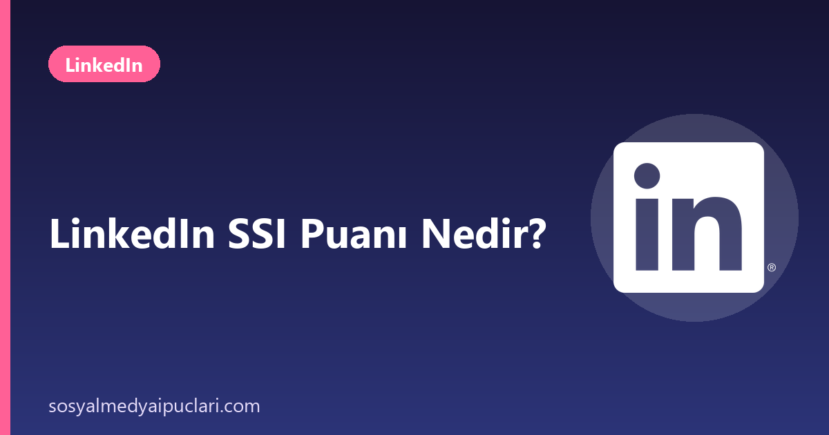 LinkedIn SSI puanı
