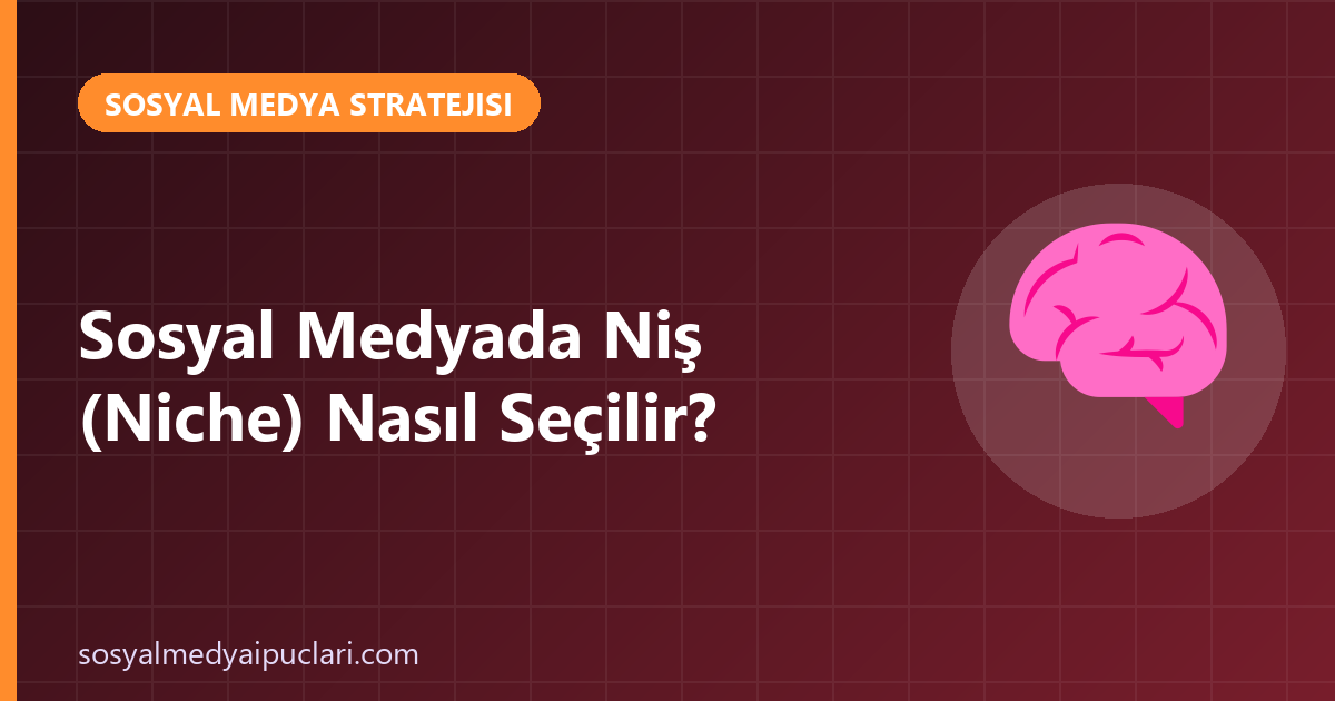 sosyal medyada niş