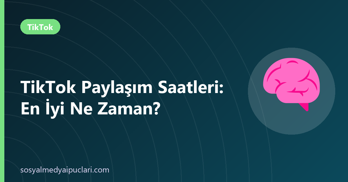 TikTok paylaşım saatleri